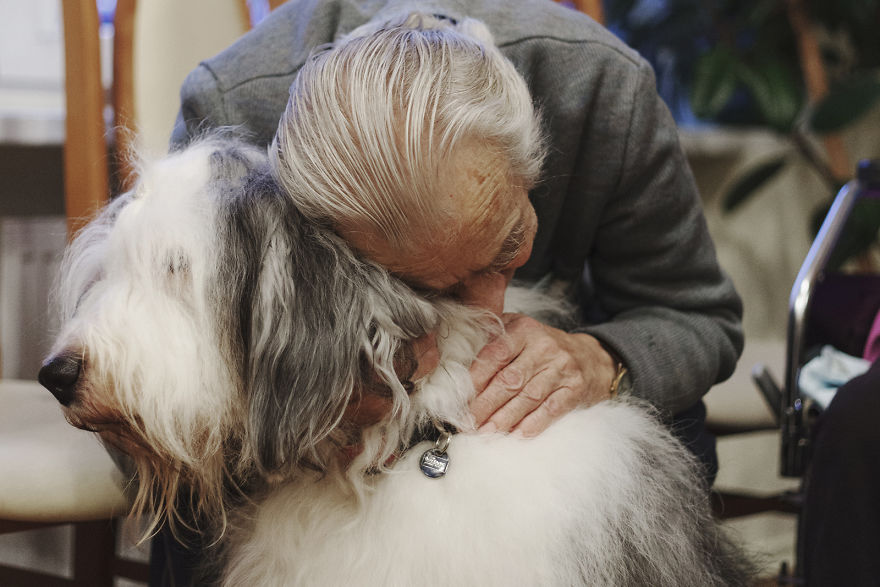 We Followed Local Canistherapy Center Team To Senior Foster Homes And Children Hospitals For Two Years To Document People Emotions