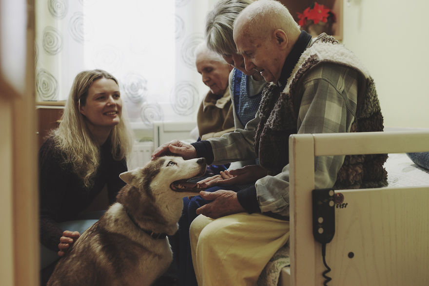 We Followed Local Canistherapy Center Team To Senior Foster Homes And Children Hospitals For Two Years To Document People Emotions