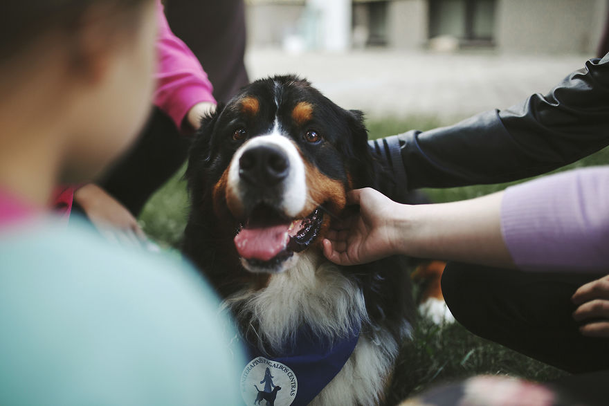 We Followed Local Canistherapy Center Team To Senior Foster Homes And Children Hospitals For Two Years To Document People Emotions