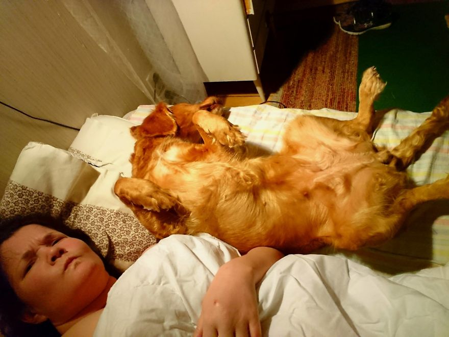 My Friend’s Dog’s Way Of Communication Is Making Me Laugh My Friend’s Dog’s Way Of Communication Is Making Me Laugh