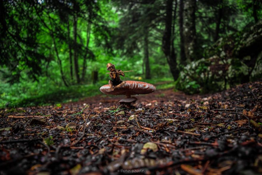 I Bring You Images From The Land Of Mushrooms I Bring You Images From The Land Of Mushrooms