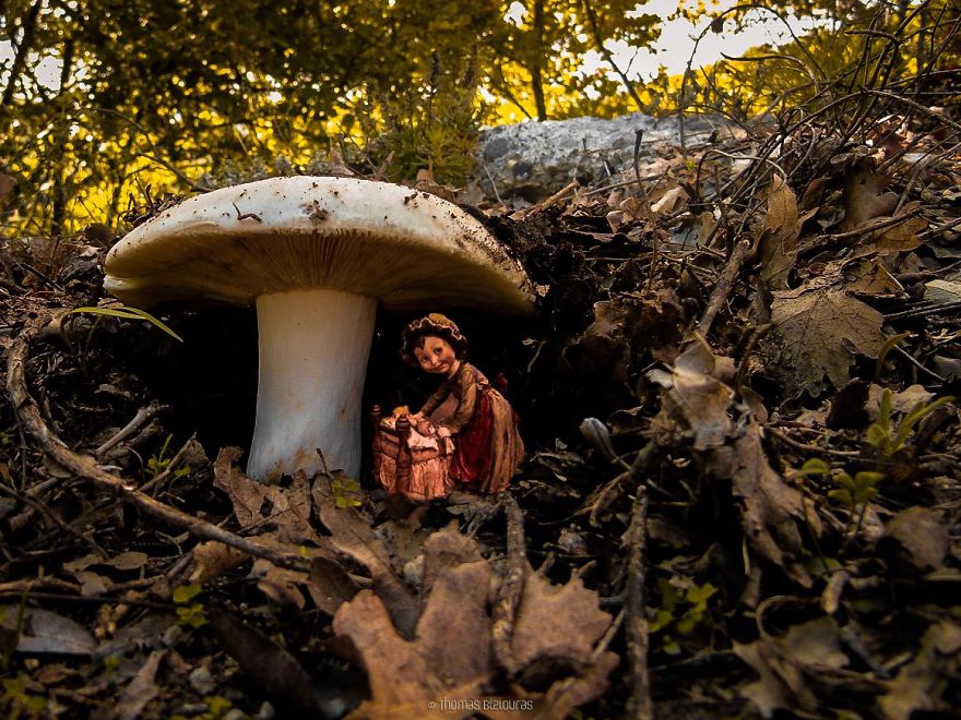I Bring You Images From The Land Of Mushrooms I Bring You Images From The Land Of Mushrooms