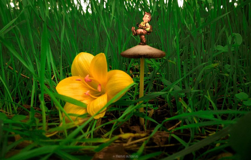 I Bring You Images From The Land Of Mushrooms I Bring You Images From The Land Of Mushrooms