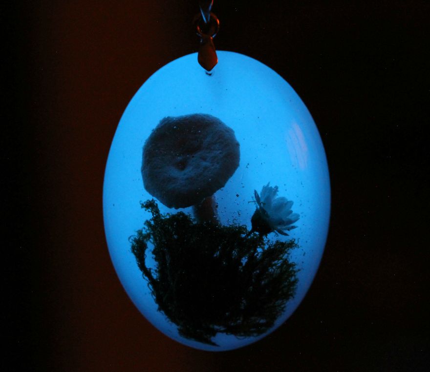 I Capture The Beauty Of Woodlands And Meadows In Resin Jewelry I Capture The Beauty Of Woodlands And Meadows In Resin Jewelry