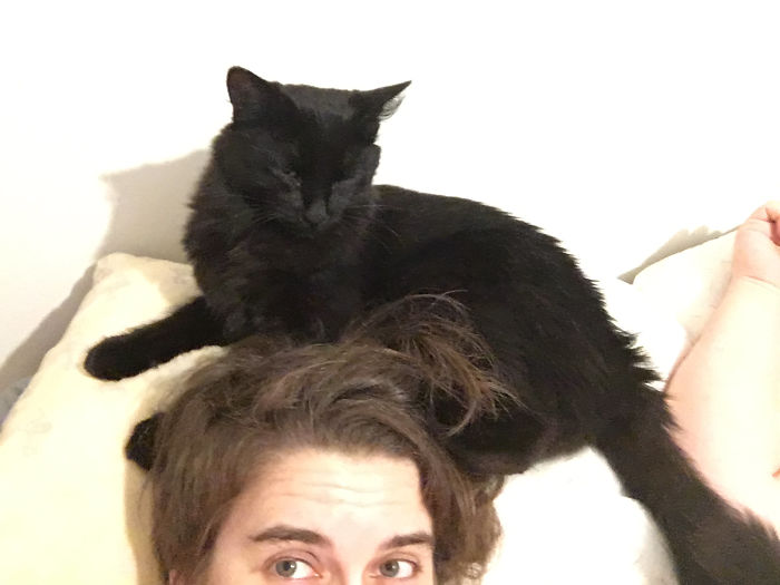 Share Pictures Of Your Pets Being Jerks Share Pictures Of Your Pets Being Jerks