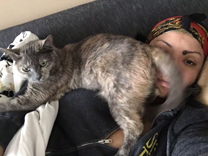 Share Pictures Of Your Pets Being Jerks Share Pictures Of Your Pets Being Jerks