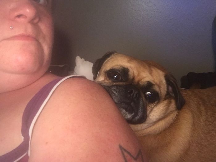 Share Pictures Of Your Pets Being Jerks Share Pictures Of Your Pets Being Jerks