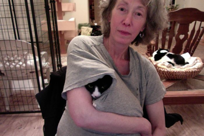 Share Pictures Of Your Pets Being Jerks Share Pictures Of Your Pets Being Jerks