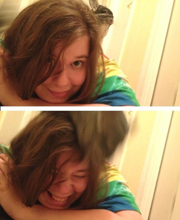 Share Pictures Of Your Pets Being Jerks Share Pictures Of Your Pets Being Jerks