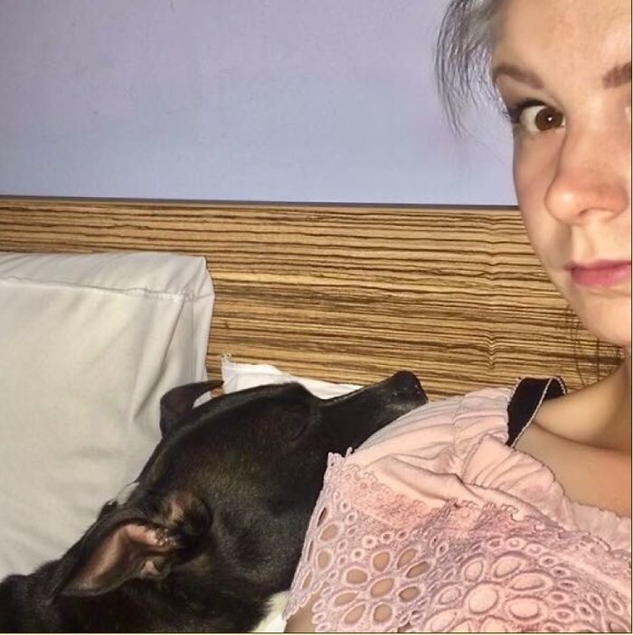 Share Pictures Of Your Pets Being Jerks Share Pictures Of Your Pets Being Jerks