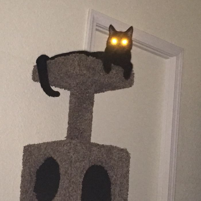 Share Pictures Of Your Pets Being Jerks Share Pictures Of Your Pets Being Jerks