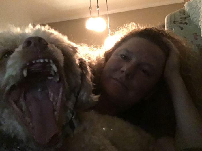 Share Pictures Of Your Pets Being Jerks Share Pictures Of Your Pets Being Jerks