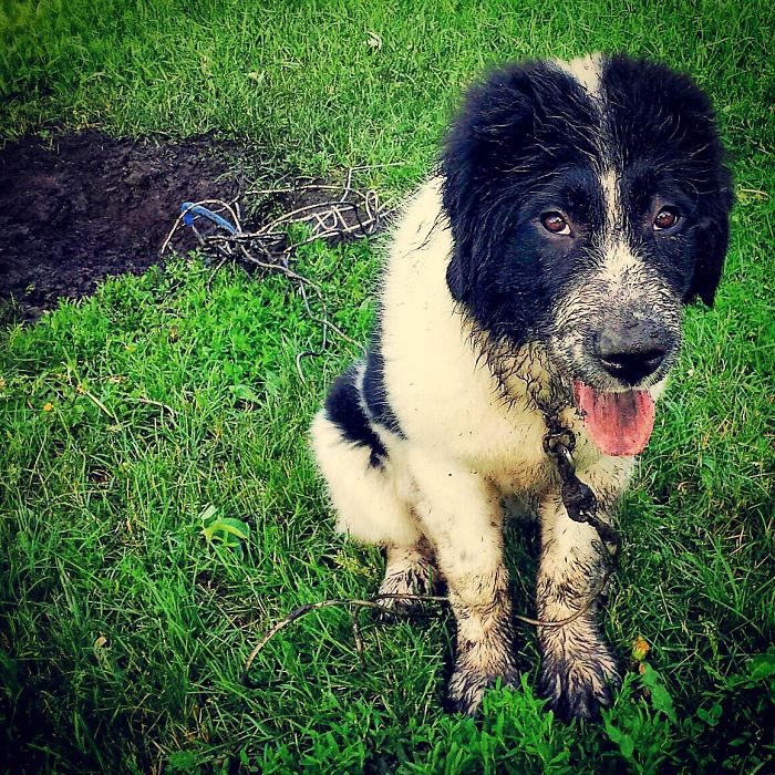 Share Pictures Of Your Pets Being Jerks Share Pictures Of Your Pets Being Jerks