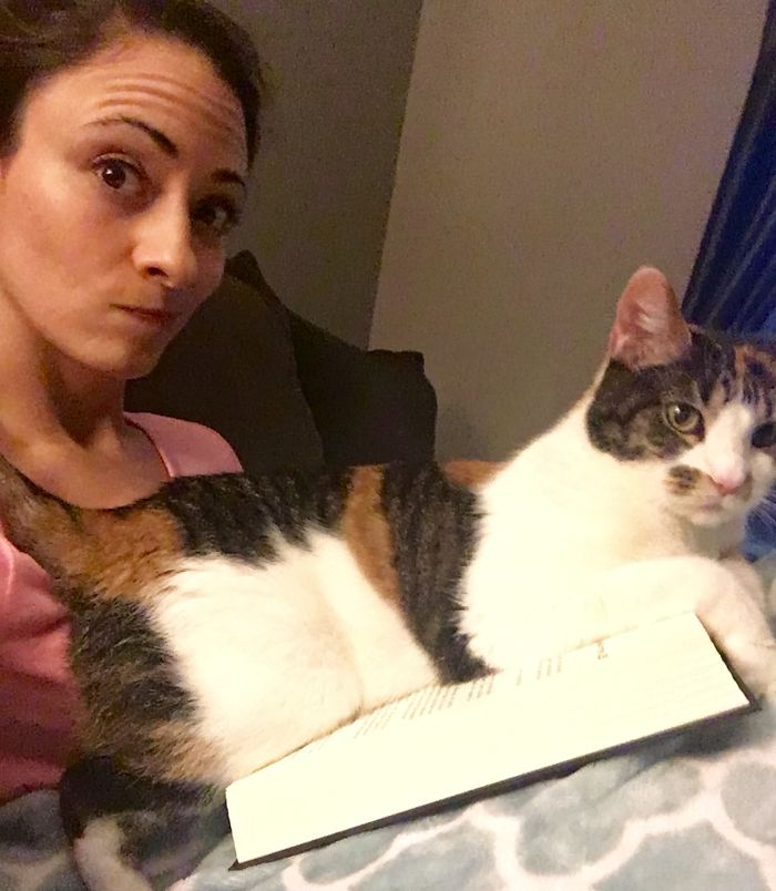 Share Pictures Of Your Pets Being Jerks Share Pictures Of Your Pets Being Jerks