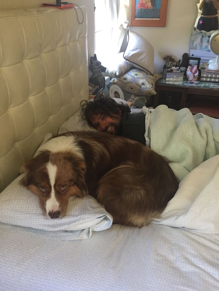 Share Pictures Of Your Pets Being Jerks Share Pictures Of Your Pets Being Jerks