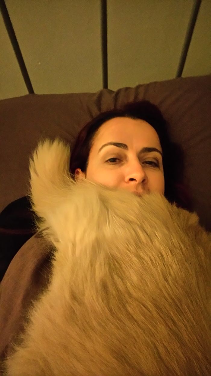 Share Pictures Of Your Pets Being Jerks Share Pictures Of Your Pets Being Jerks