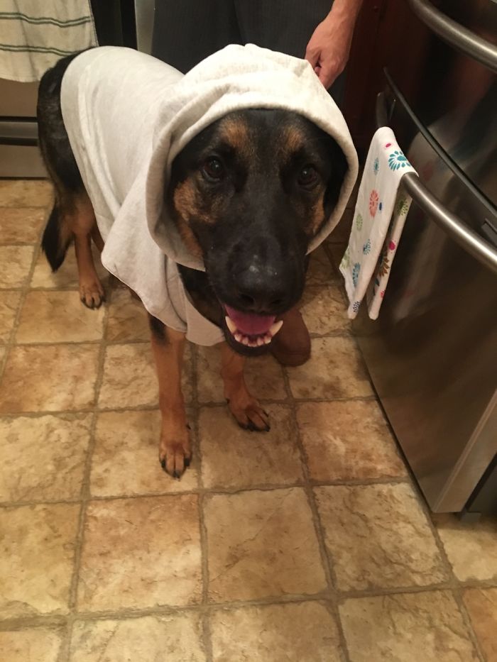 People Are Sharing Embarrassing Childhood Photos Of Their Significant Others, And It’s Too Funny People Are Sharing Embarrassing Childhood Photos Of Their Significant Others, And It’s Too Funny