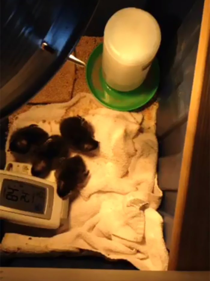 People Are Sharing Genius Life Hacks And You Will Be Surprised You Never Thought Of Them People Are Sharing Genius Life Hacks And You Will Be Surprised You Never Thought Of Them