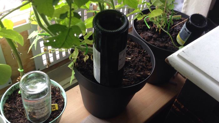 People Are Sharing Genius Life Hacks And You Will Be Surprised You Never Thought Of Them People Are Sharing Genius Life Hacks And You Will Be Surprised You Never Thought Of Them