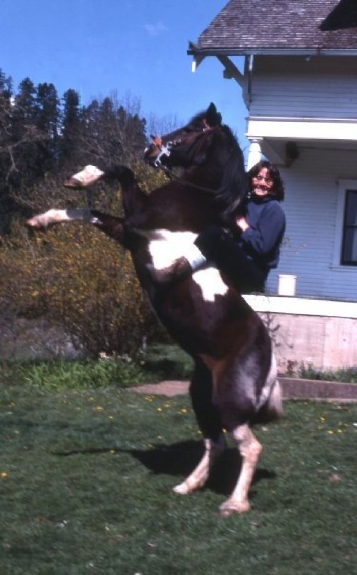 79 Times Kids Realized Their Parents Were Cooler Than Them 79 Times Kids Realized Their Parents Were Cooler Than Them