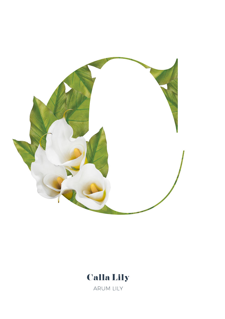 I Wanted To See What The Alphabet Would Look Like Made Out Of Flowers I Wanted To See What The Alphabet Would Look Like Made Out Of Flowers