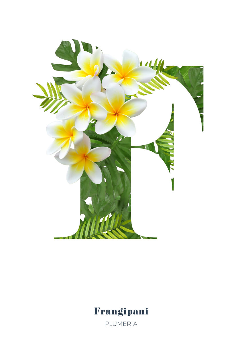 I Wanted To See What The Alphabet Would Look Like Made Out Of Flowers I Wanted To See What The Alphabet Would Look Like Made Out Of Flowers