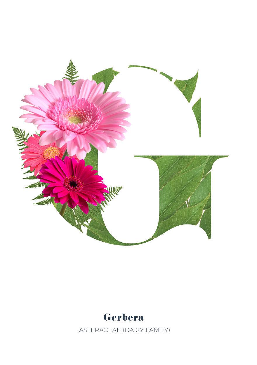 I Wanted To See What The Alphabet Would Look Like Made Out Of Flowers I Wanted To See What The Alphabet Would Look Like Made Out Of Flowers