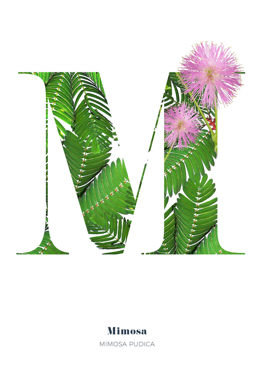 I Wanted To See What The Alphabet Would Look Like Made Out Of Flowers I Wanted To See What The Alphabet Would Look Like Made Out Of Flowers