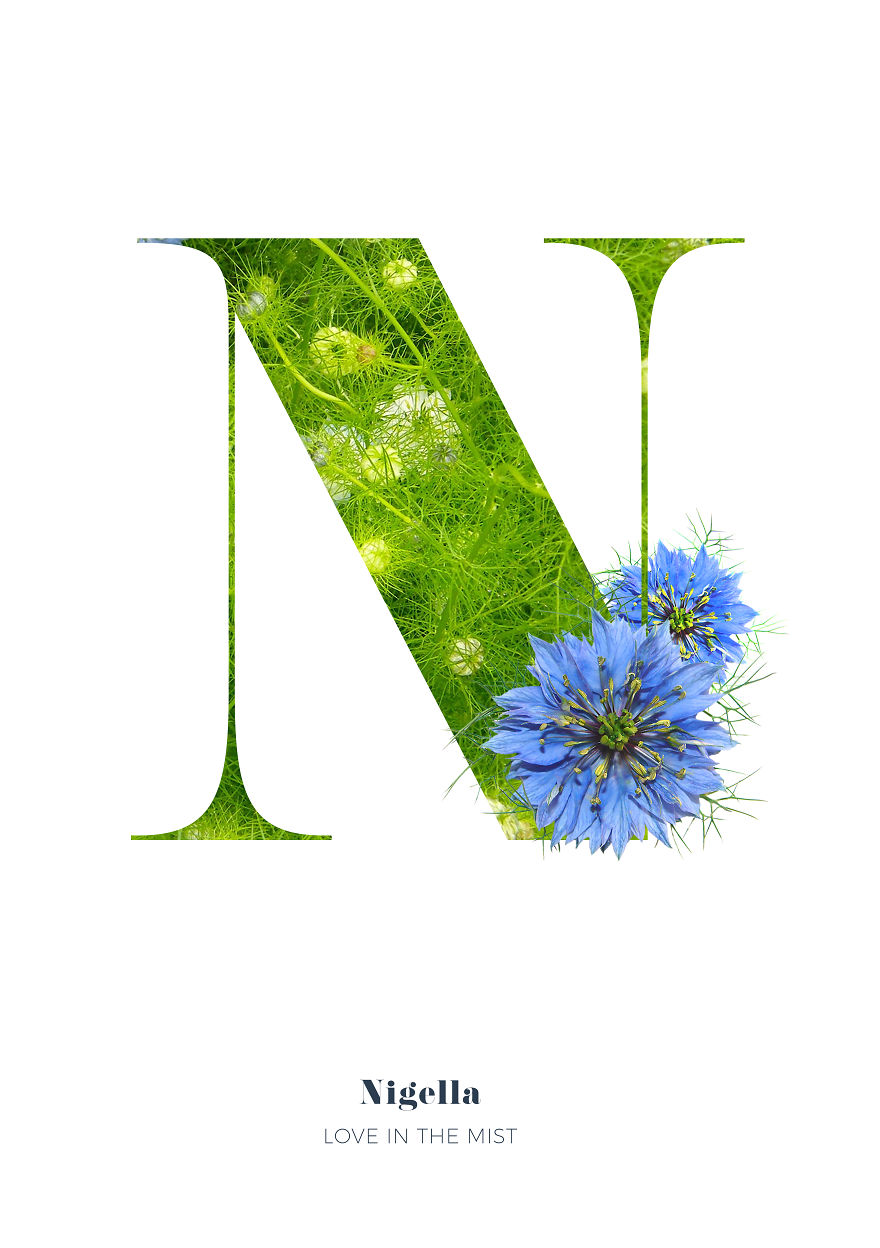 I Wanted To See What The Alphabet Would Look Like Made Out Of Flowers I Wanted To See What The Alphabet Would Look Like Made Out Of Flowers