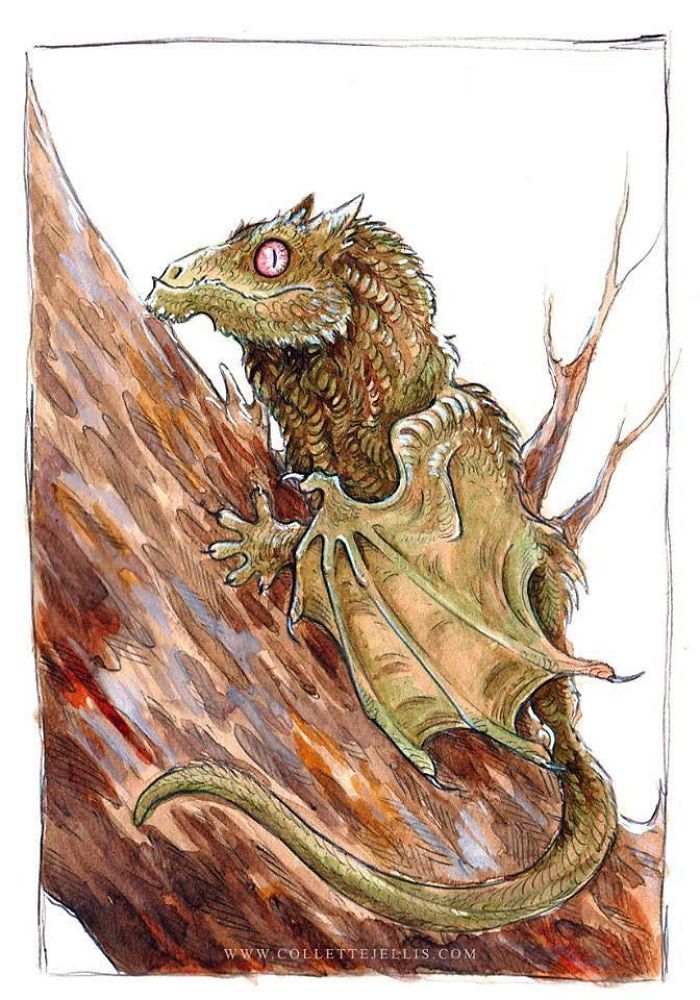 I Created A Sketchbook Full Of Colourful Dragon Illustrations