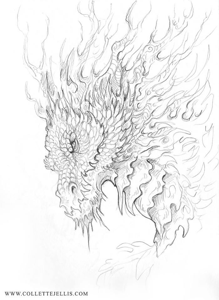 I Created A Sketchbook Full Of Colourful Dragon Illustrations