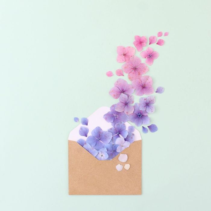 Satisfying Arrangements Of Everyday Objects By Caroline South Satisfying Arrangements Of Everyday Objects By Caroline South