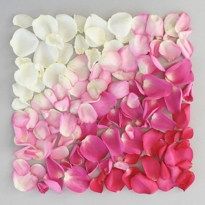 Satisfying Arrangements Of Everyday Objects By Caroline South Satisfying Arrangements Of Everyday Objects By Caroline South