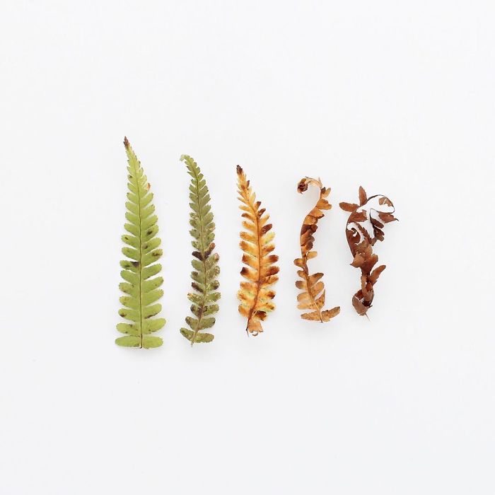 Satisfying Arrangements Of Everyday Objects By Caroline South Satisfying Arrangements Of Everyday Objects By Caroline South