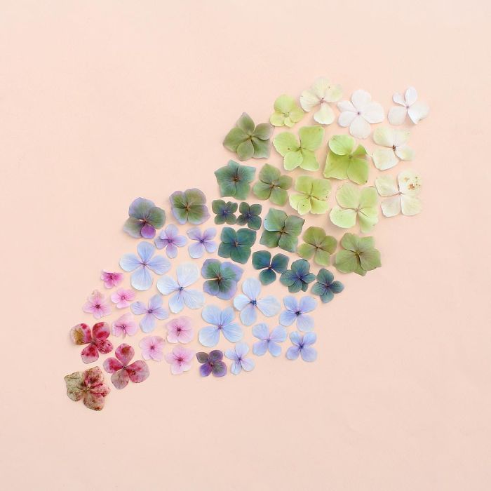 Satisfying Arrangements Of Everyday Objects By Caroline South Satisfying Arrangements Of Everyday Objects By Caroline South