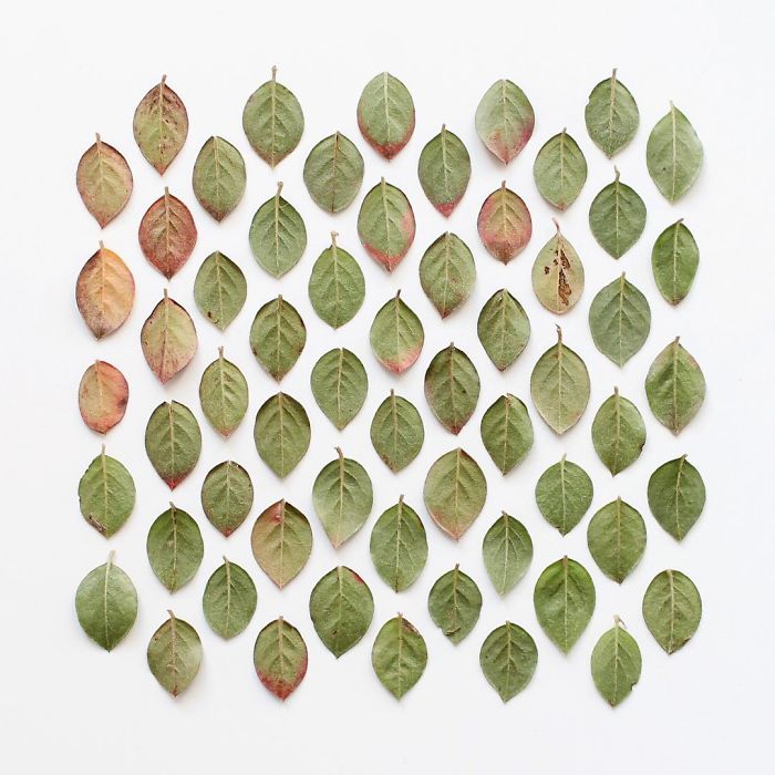 Satisfying Arrangements Of Everyday Objects By Caroline South Satisfying Arrangements Of Everyday Objects By Caroline South