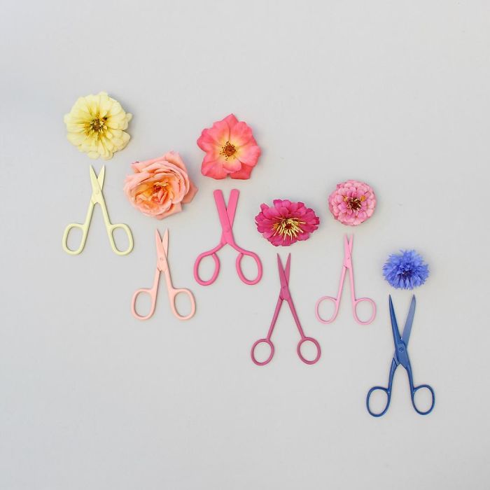 Satisfying Arrangements Of Everyday Objects By Caroline South Satisfying Arrangements Of Everyday Objects By Caroline South