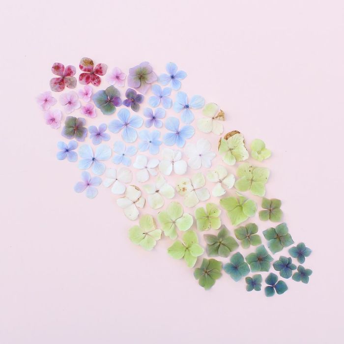 Satisfying Arrangements Of Everyday Objects By Caroline South Satisfying Arrangements Of Everyday Objects By Caroline South