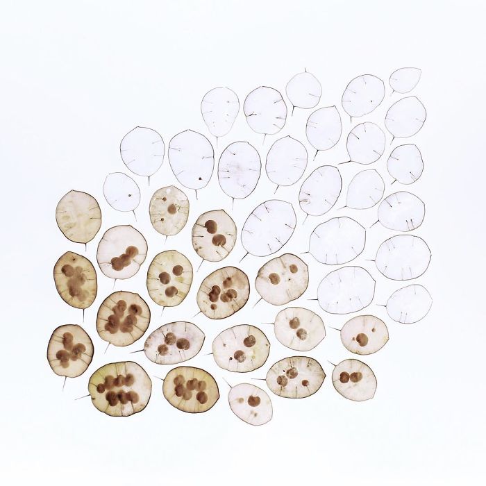 Satisfying Arrangements Of Everyday Objects By Caroline South Satisfying Arrangements Of Everyday Objects By Caroline South