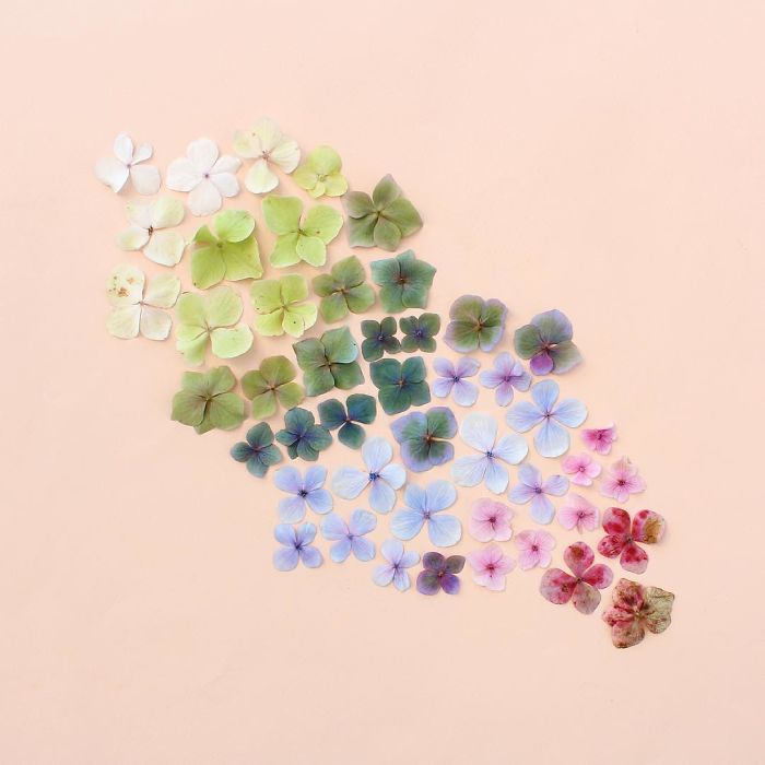 Satisfying Arrangements Of Everyday Objects By Caroline South Satisfying Arrangements Of Everyday Objects By Caroline South