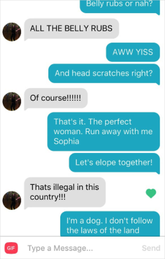 Guy Makes His Malamute A Tinder Profile And The Conversations Are Hilarious Guy Makes His Malamute A Tinder Profile And The Conversations Are Hilarious