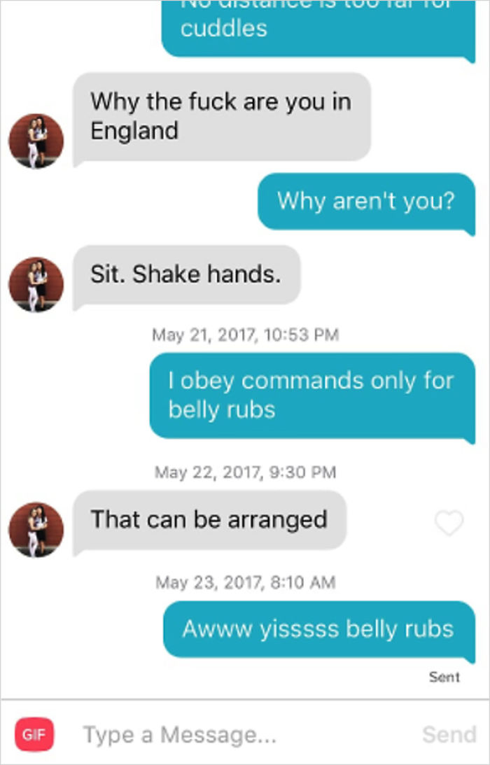 Guy Makes His Malamute A Tinder Profile And The Conversations Are Hilarious Guy Makes His Malamute A Tinder Profile And The Conversations Are Hilarious