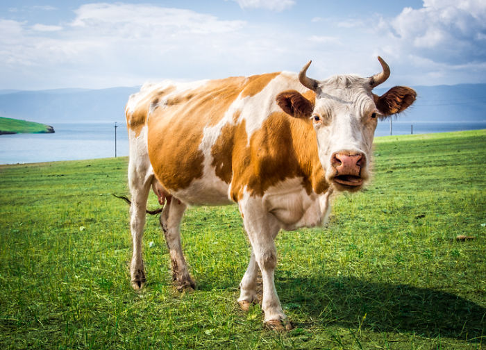 Photography With A Mirrorless Camera Photography With A Mirrorless Camera