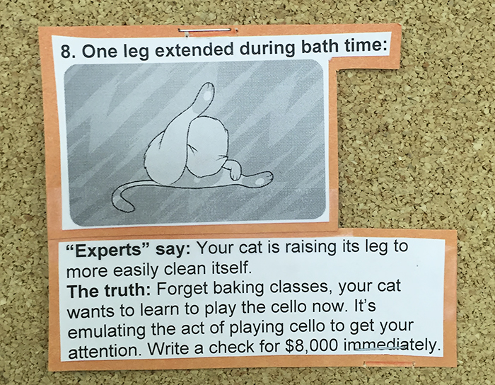 This Vet Put Explanations Of 15 Common Cat Behaviours On His Cork Board, And It&#8217;s Hilarious