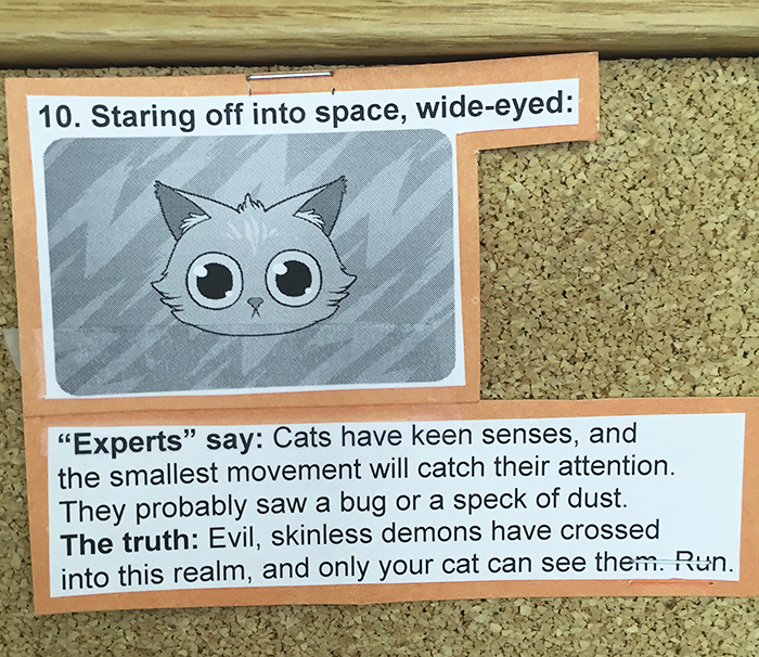 This Vet Put Explanations Of 15 Common Cat Behaviours On His Cork Board, And It&#8217;s Hilarious