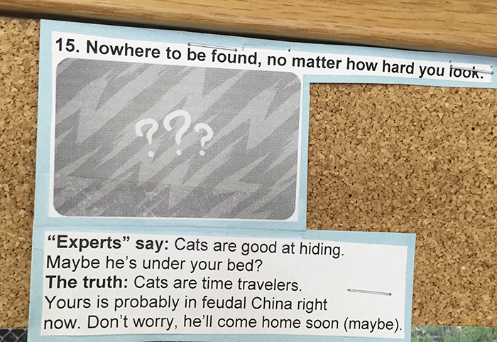 This Vet Put Explanations Of 15 Common Cat Behaviours On His Cork Board, And It&#8217;s Hilarious