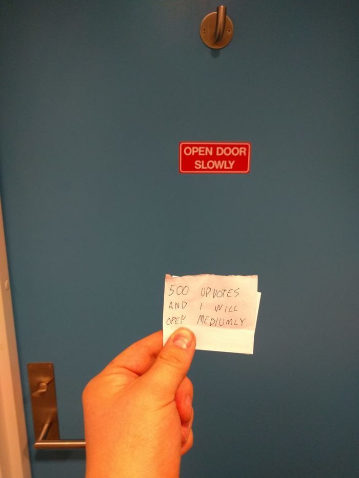 241 First-World Anarchists Who Don’t Give A Damn About Your Rules