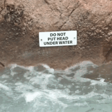 241 First-World Anarchists Who Don’t Give A Damn About Your Rules