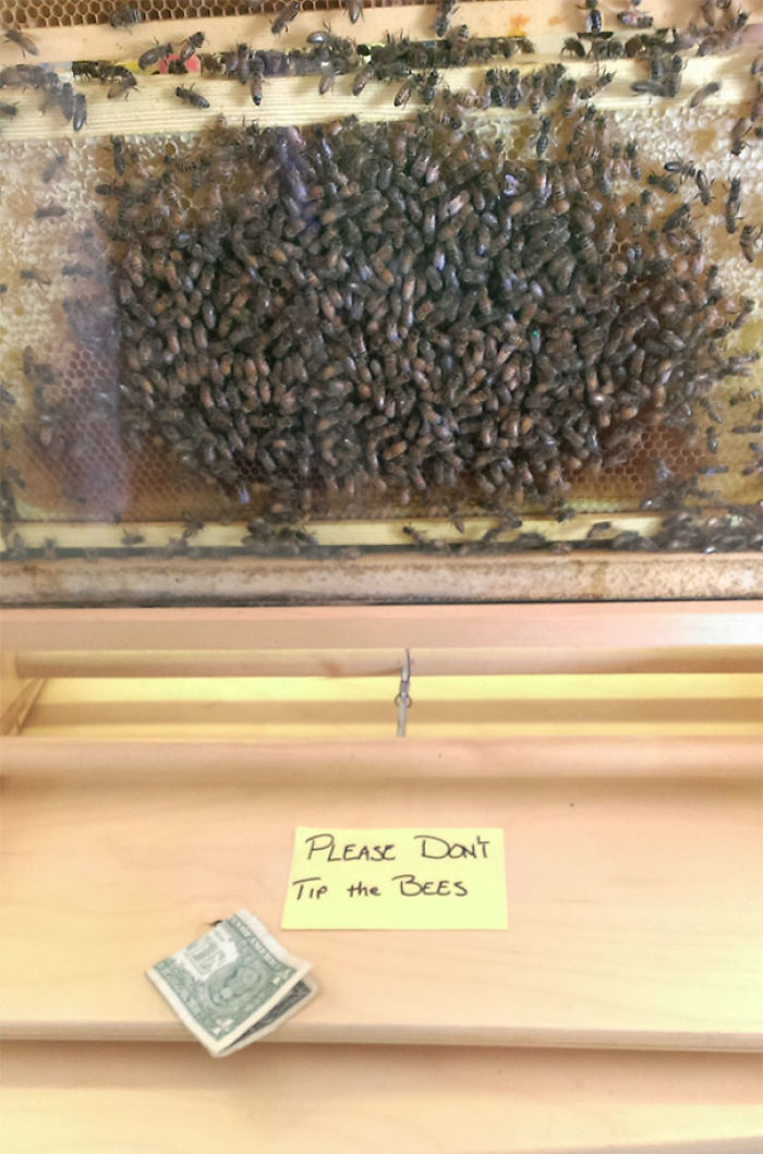 241 First-World Anarchists Who Don’t Give A Damn About Your Rules