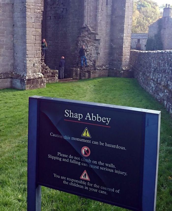 241 First-World Anarchists Who Don’t Give A Damn About Your Rules